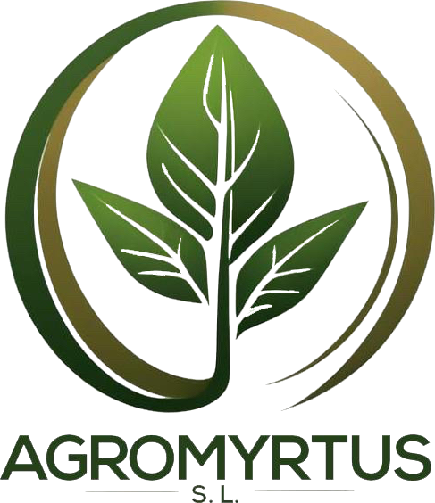 logo de website movil